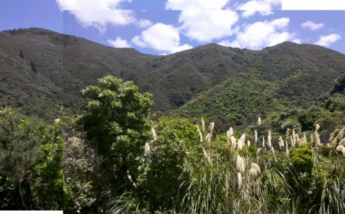 A view back into the mountains I've just biked between.