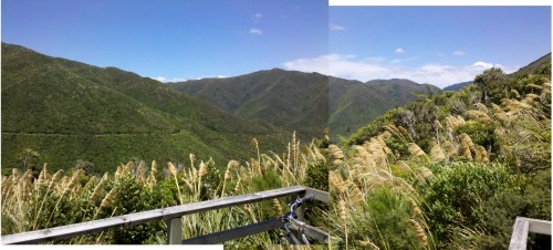 The view across the gully.